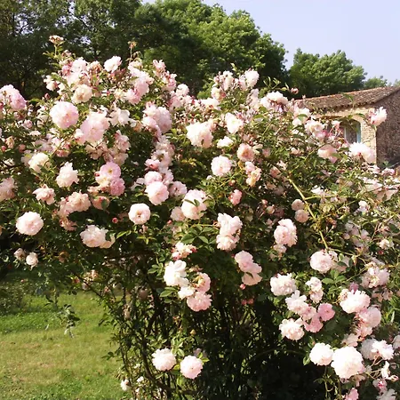 La Pierrerie Grimaud
